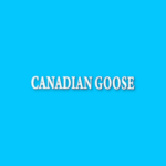 canadiangoose.png