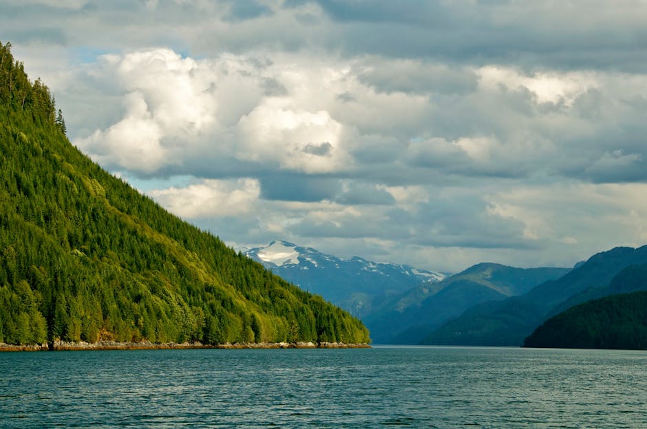 Free stock photo of from mobileme, raw