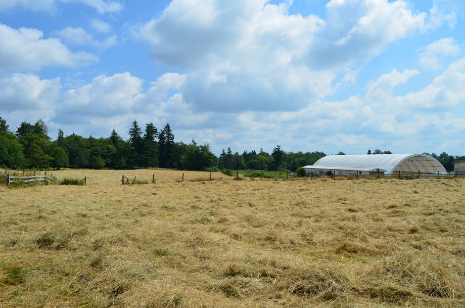 Serene rural landscape featuring a hayfield and barn under a cloudy sky in Langley, BC.