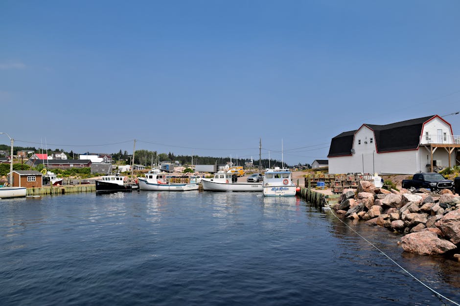 Peaceful harbor with fishing boats and coastal village scenery in Nova Scotia, Canada.