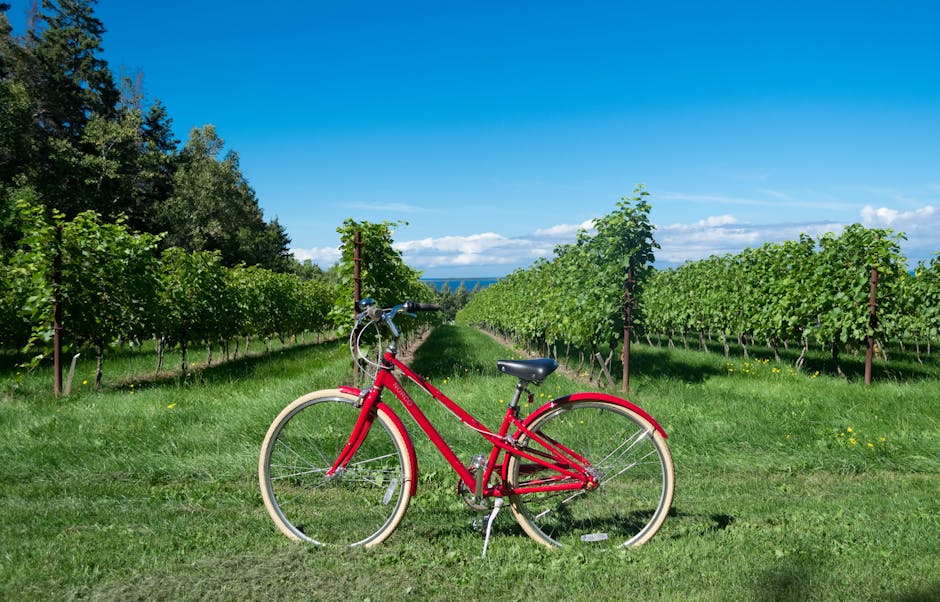 A bright red bicycle parked in a vibrant vineyard under a clear blue sky in rural Nova Scotia.