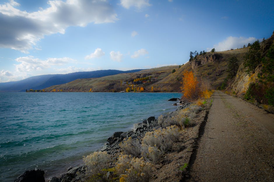 Peaceful lakeside road with autumn foliage and mountains in North Okanagan, BC.