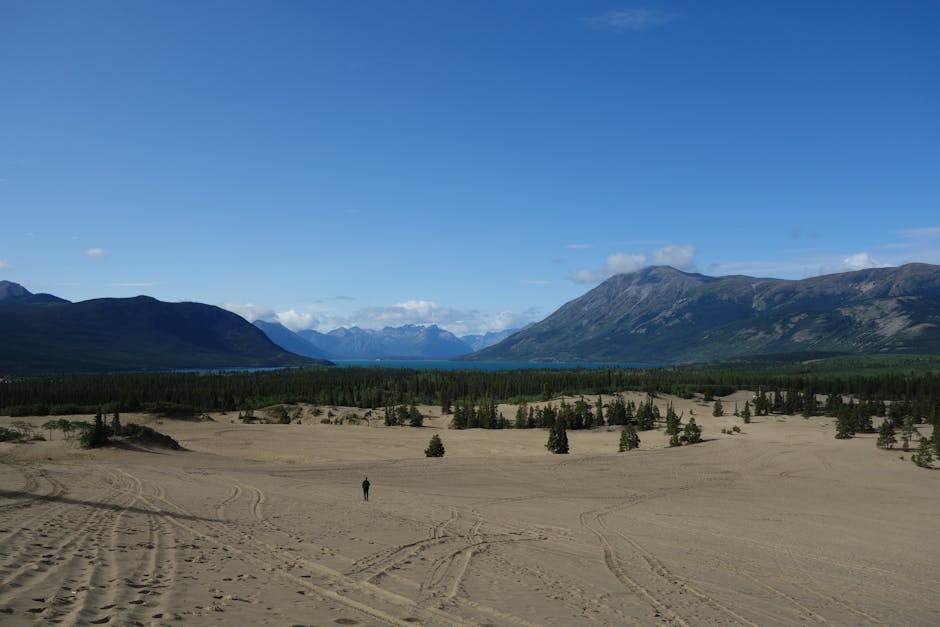 Sweeping view of Carcross Desert with surrounding mountains in Canada.